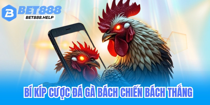 Bí kíp cược đá gà online bet88 bách chiến bách thắng 1 Bí kíp cược đá gà online bet88 onlie bách chiến bách thắng