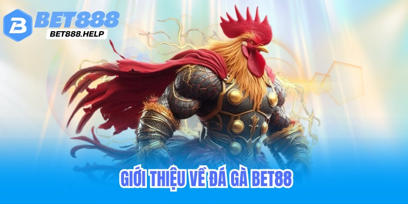 Bí kíp cược đá gà online bet88 bách chiến bách thắng 2 Hướng dẫn cách cá cược đá gà tại bet88