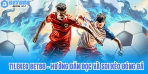 Tilekeobet88 - Hướng Dẫn Đọc Kèo, Soi Kèo